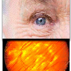 Curso Geriátrica