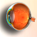 img tec com exame pat ocular